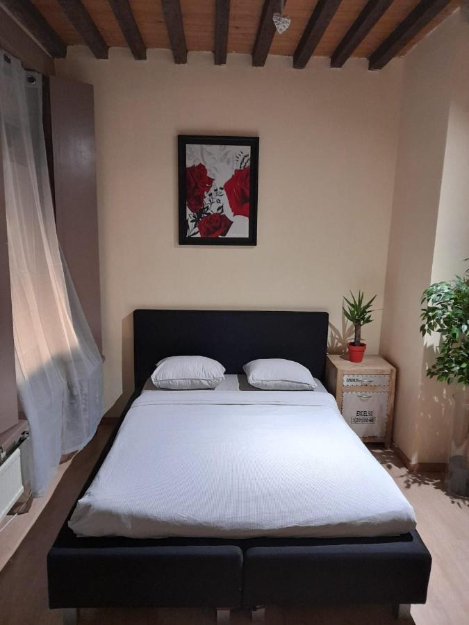 Cute,Cosy,Comfortable Studio In The Heart Of Antwerpen Apartman Kültér fotó